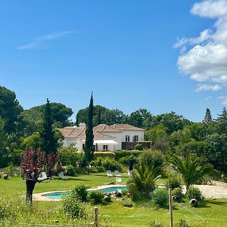 הוילה ססימברה Quinta Da Arrabida מראה חיצוני תמונה