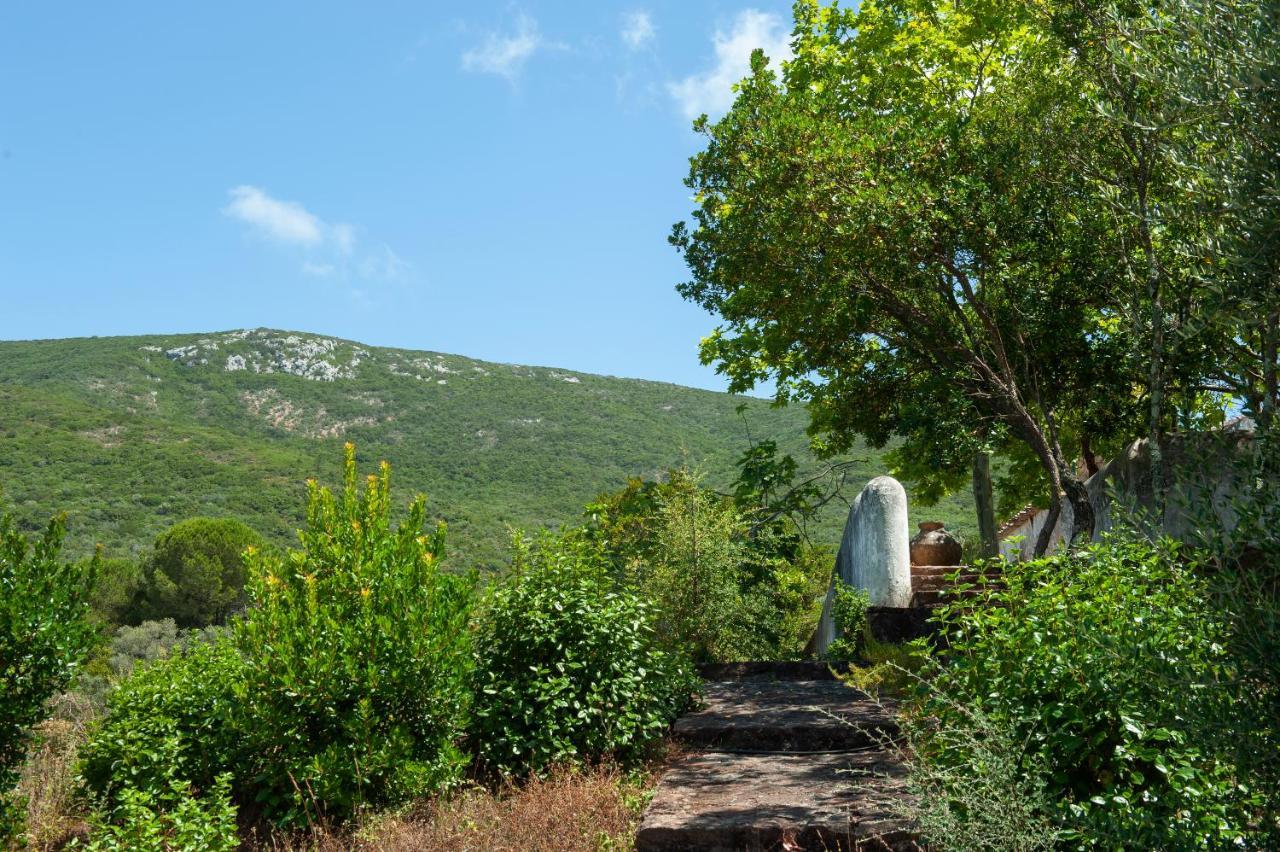 הוילה ססימברה Quinta Da Arrabida מראה חיצוני תמונה